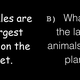 Illustration for article titled Take The Comic Sans Test
